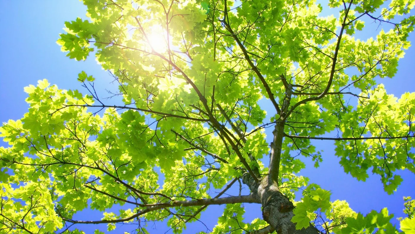 Sustainability at Lumiere Textiles